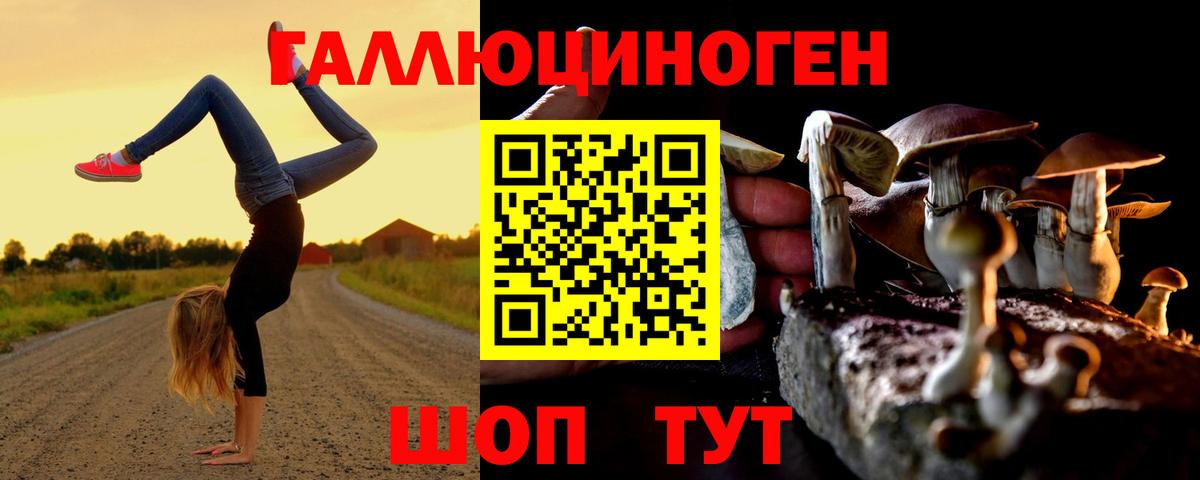 Галлюциногенные грибы GOLDEN TEACHER Курган