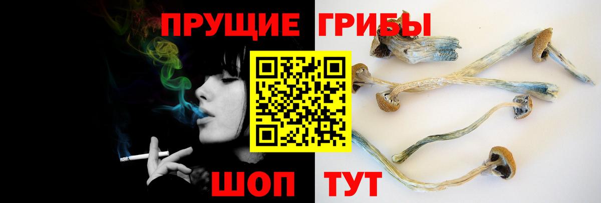 Псилоцибиновые грибы Magic Shrooms  Галлюциногенные грибы GOLDEN TEACHER  Вход с VPN  Курган 